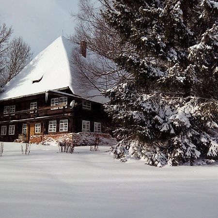 Romantisches Schwarzwaelder Bauernhaeuschen Huesli Am Griesbachhof Villa Титизее-Нойщат Екстериор снимка