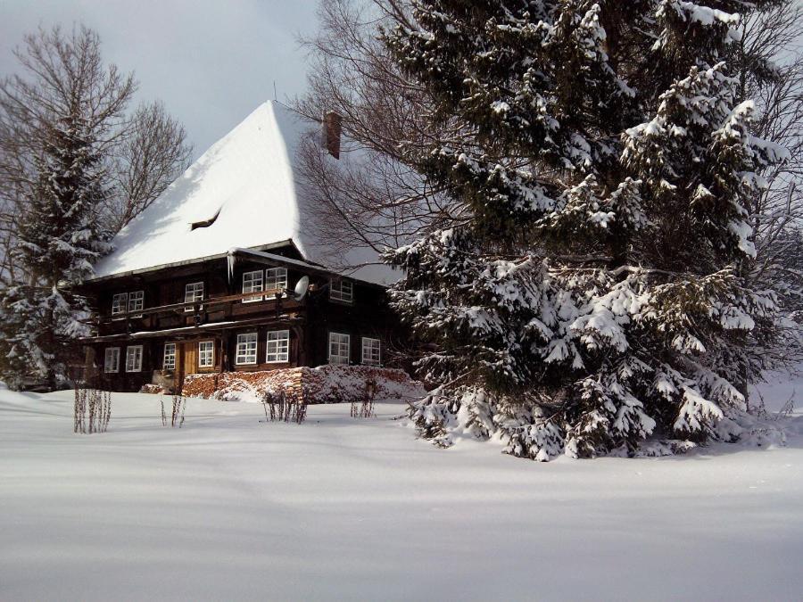 Romantisches Schwarzwaelder Bauernhaeuschen Huesli Am Griesbachhof Villa Титизее-Нойщат Екстериор снимка